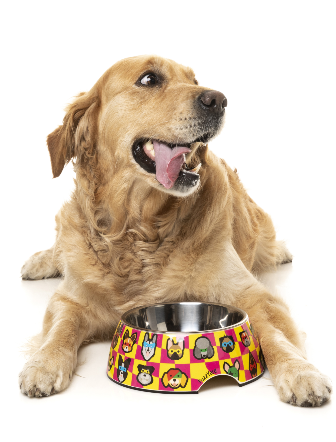 FuzzYard Easy Feeder Slow Feed Dog Bowl - Non-Slip Pet Food Dish for Small Medium Large Dogs - Perfect for Fast Eaters & Mealtime Enrichment