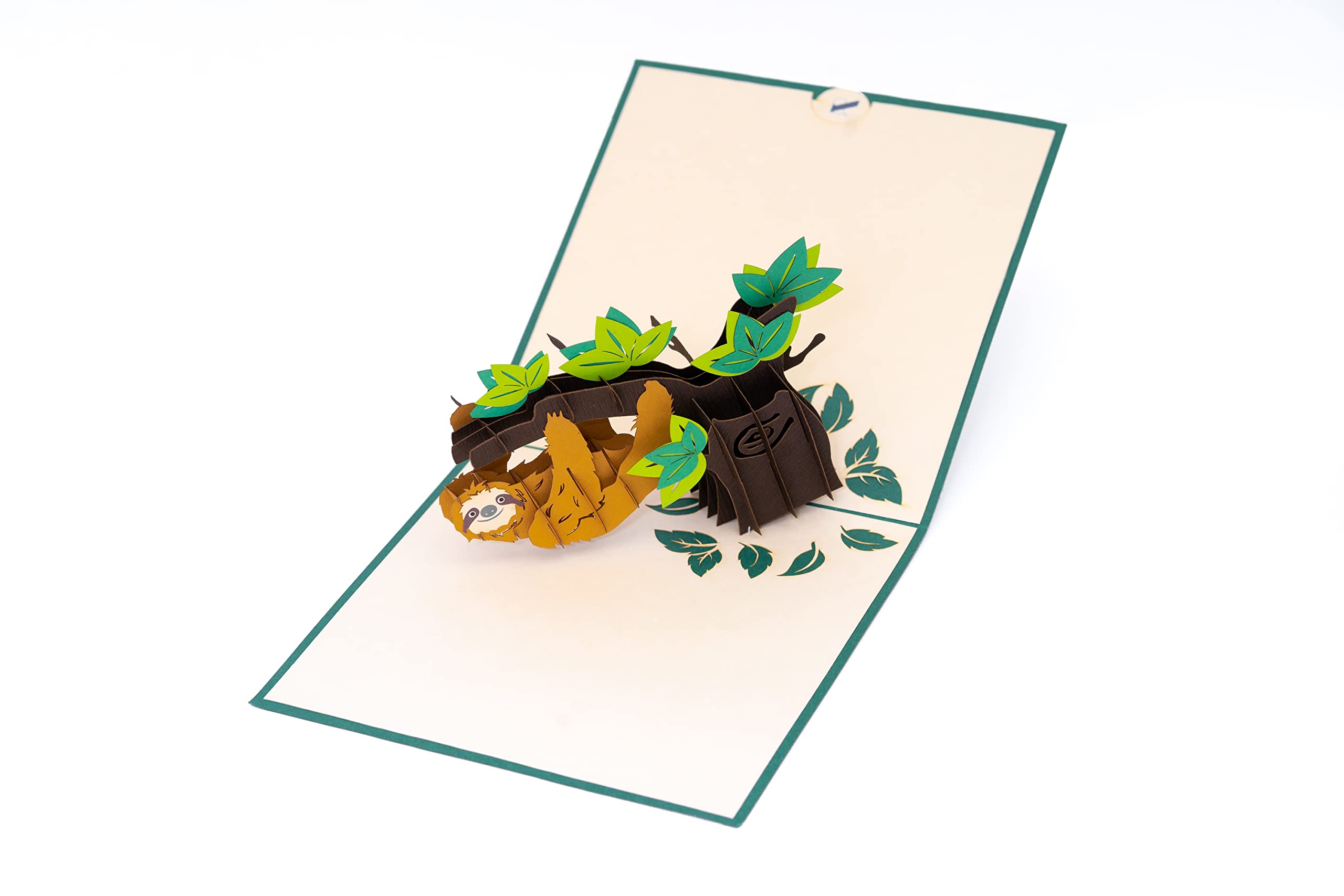 Sloth Pop Up Greeting Card - Cute Jungle Animal Birthday & Thank You Card for Kids - Perfect for Birthdays, Thank You Notes & Special Occasions