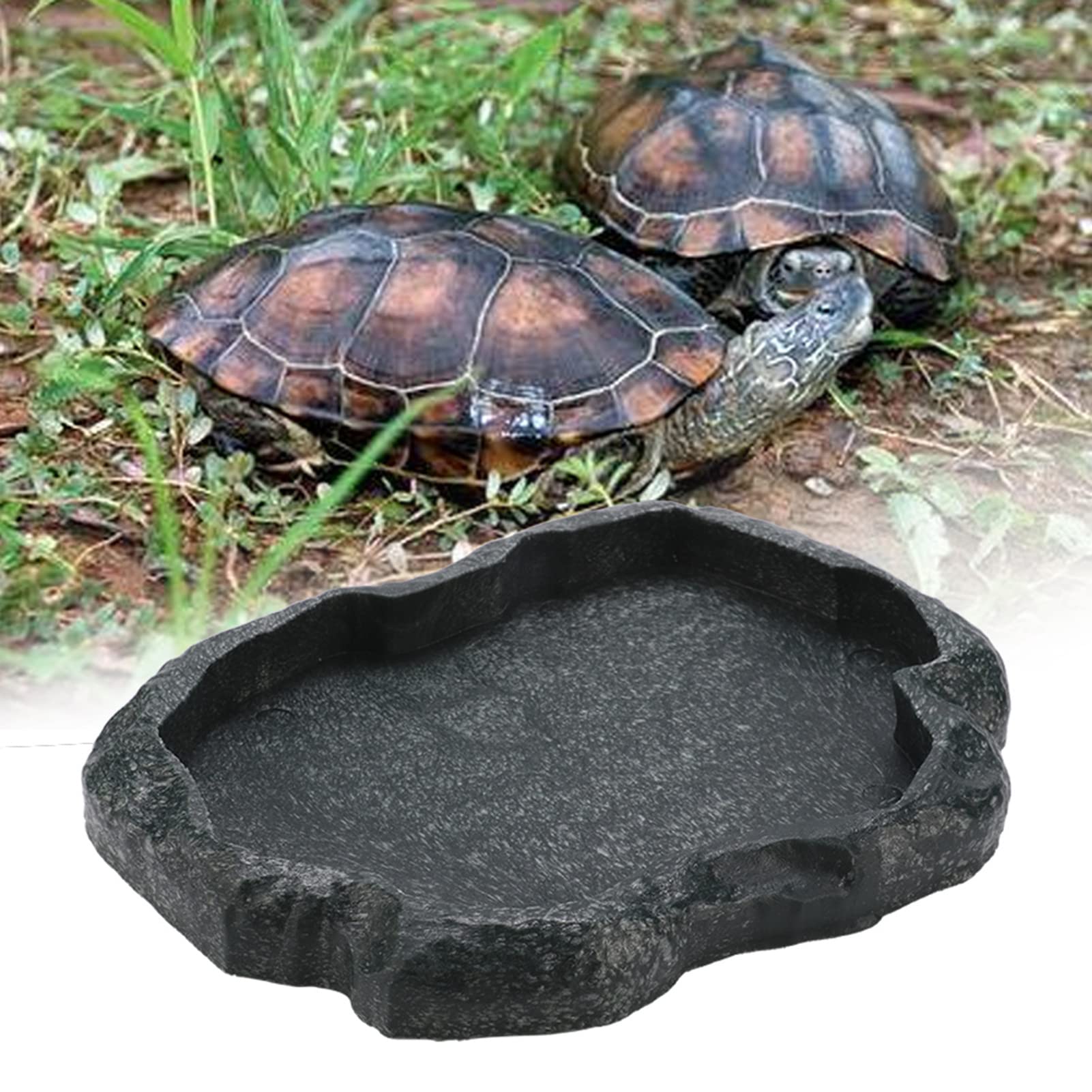 Premium Zerone Bearded Dragon Food Bowl - Durable Resin Reptile Dish for Lizards, Tortoises & Small Pets - Emerald Black Reptile Accessories - Ideal for Feeding & Watering in Terrariums & Habitats