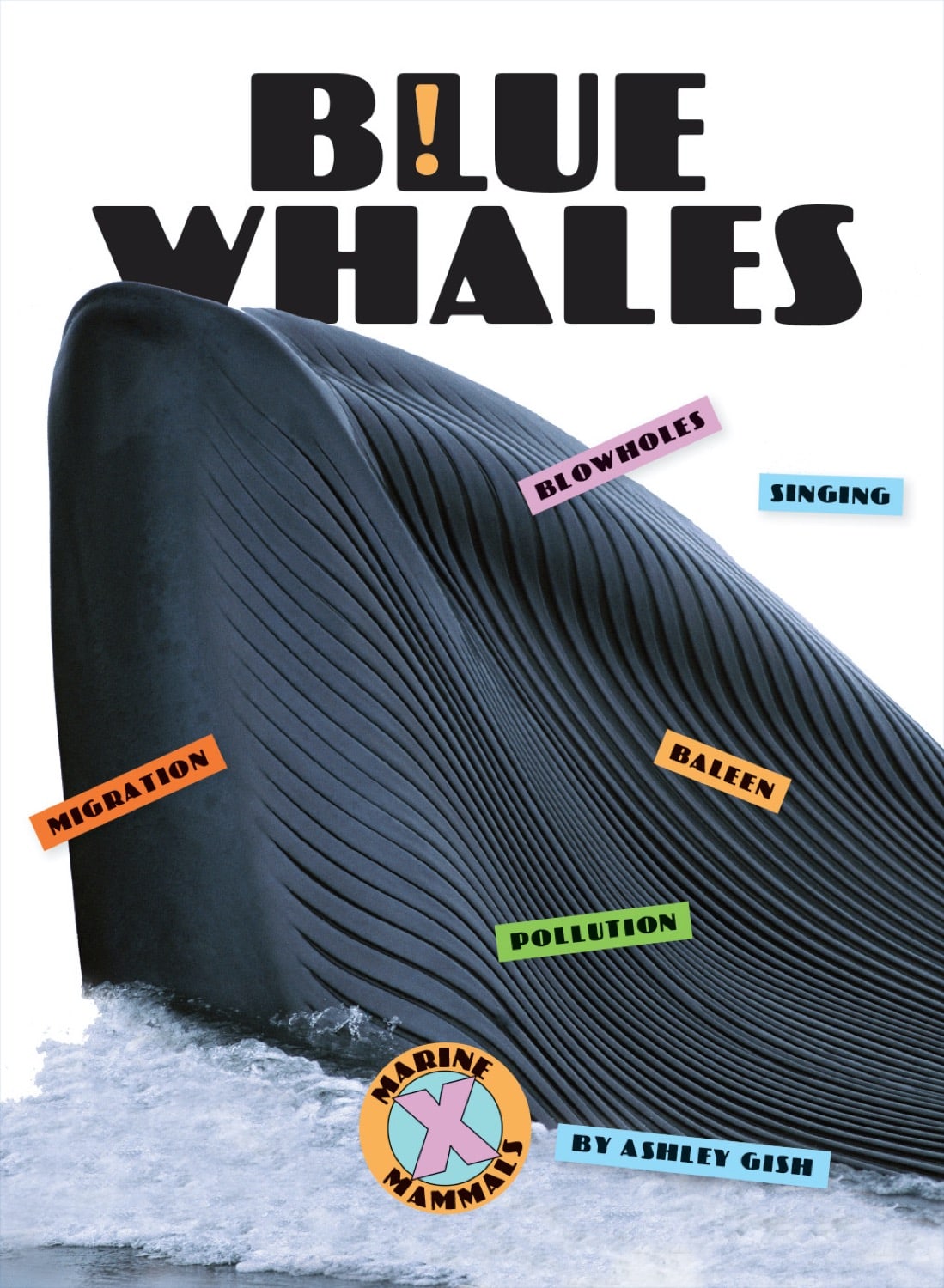 Blue Whales Book - ISBN 9781640261884 | Educational Marine Life Reading for Kids & Adults | Perfect for School Projects & Ocean Enthusiasts