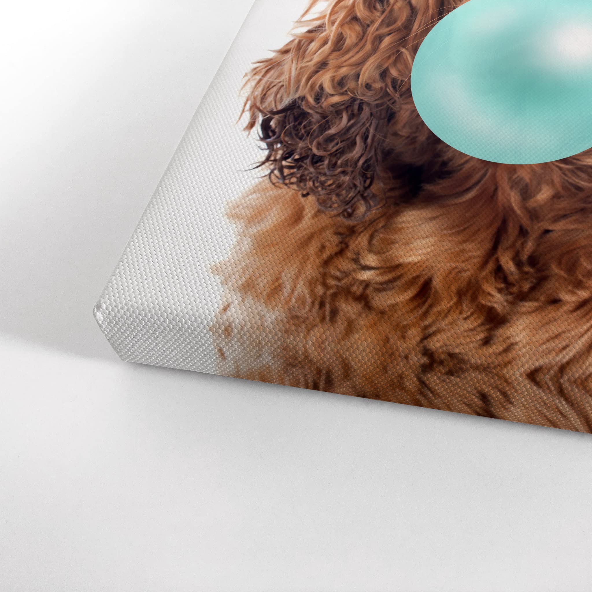 English Cocker Spaniel Chewing Teal Blue Bubble Gum - Pop Art Canvas Wall Print (36x24 inches) | Unique Pet Lover Gift for Dog Owners | Vibrant Animal Art for Living Room, Bedroom, Nursery & Office Decor | Perfect for Dog-Themed Home Design & Gift Occasions