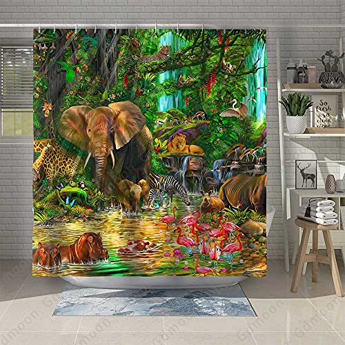 Rainforest Animal