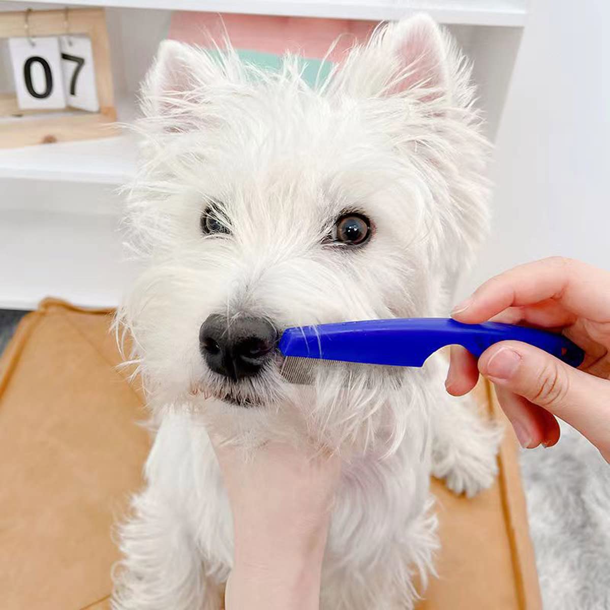 **Premium Metal Flea & Lice Comb for Cats & Dogs - 2-in-1 Pet Grooming Comb with Smooth Round Teeth - Removes Tangles, Dander, Tear Stains & Mucus Crust (Blue) - Ideal for Daily Grooming & Detangling Pet Hair**