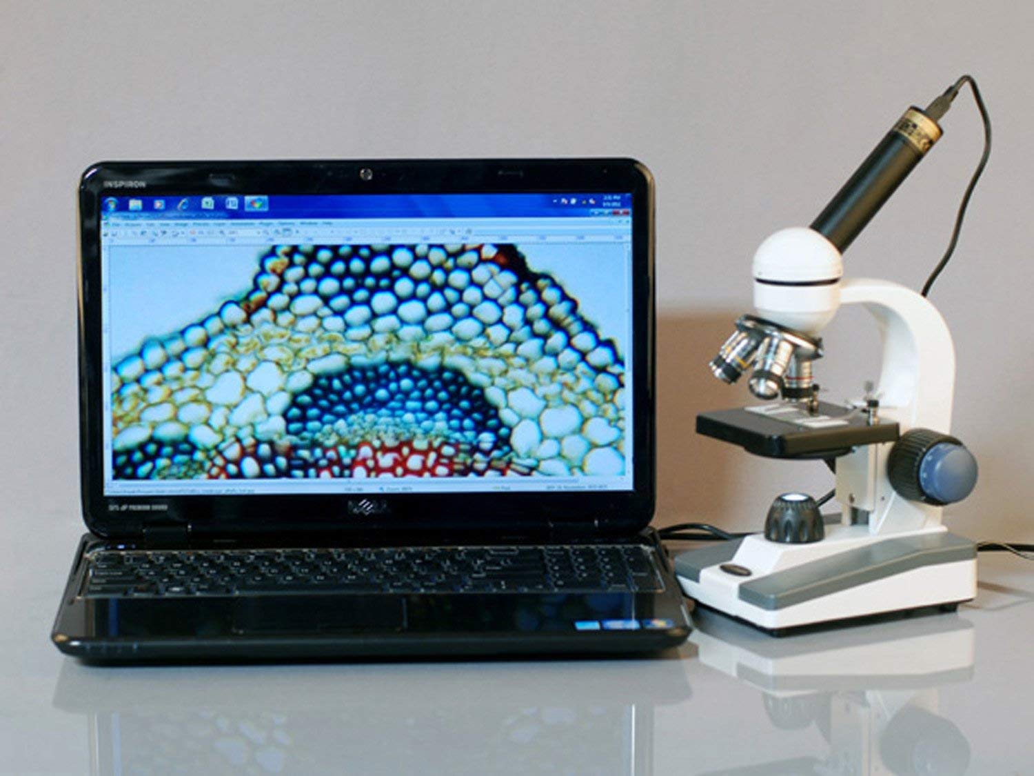 AmScope M150C-PB10-WM Compound Monocular Microscope with WF10x & WF25x Eyepieces, 40x-1000x Magnification, LED Illumination - Ideal for Students, Hobbyists & Home Science Labs (Includes 5 Blank Slides, 5 Prepared Slides & Instruction Book)