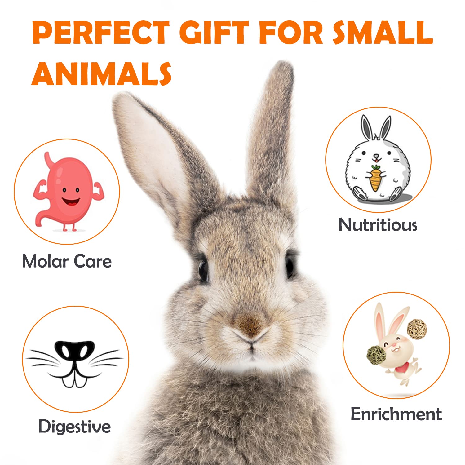 Sofier 44Pcs Natural Timothy Hay Sticks - Handmade Rabbit Chews & Treats for Teeth, Bunny, Guinea Pig, Chinchilla, Rat, Hamster, Gerbil | Small Pet Toys for Chewing & Dental Health | Perfect for Cage Enrichment & Playtime Activities