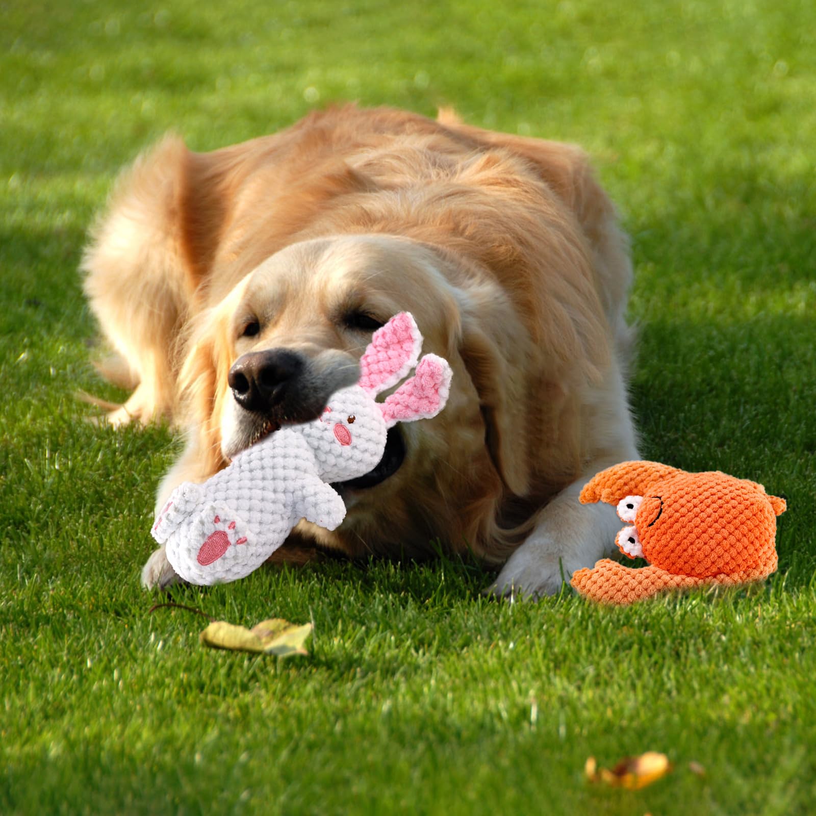 4 Pack Squeaky Dog Toys - Soft Plush Chew Toys for Puppies & Small to Medium Dogs - Interactive Teething Relief & Playtime Fun - Perfect for Indoor, Outdoor & Training Use
