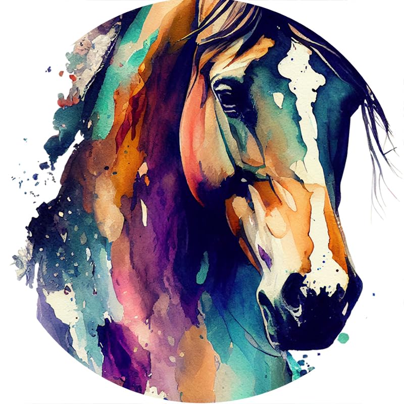 Color Graffiti Horse