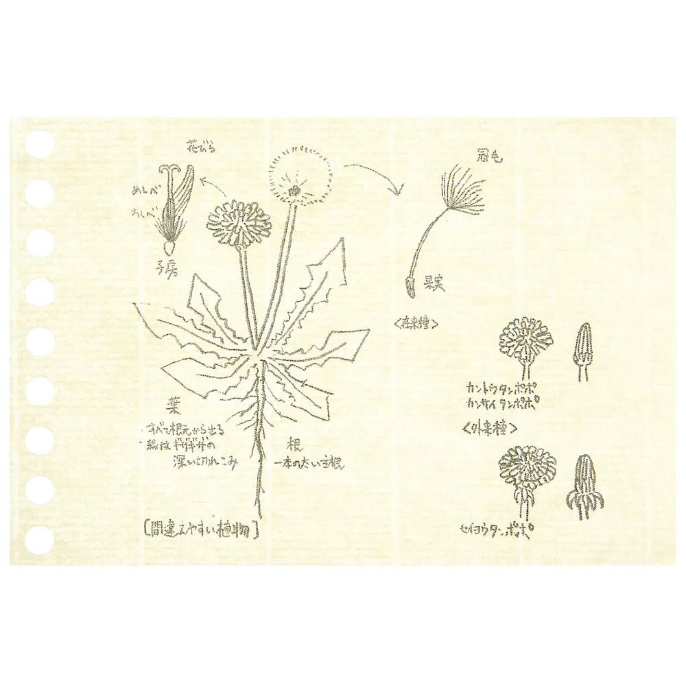 Maruman Write Easy Creative Mini Loose Leaf Notebook - Portable 50 Sheets for Journaling, Note Taking & Sketching - Perfect for Students, Office & Travel