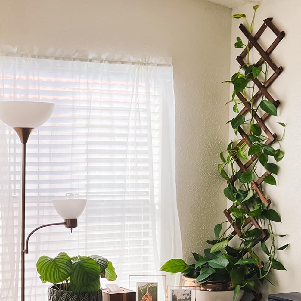 Expandable Wooden Garden Trellis for Climbing Plants - Sturdy Lattice Wall Fence for Ivy, Roses & Clematis - Outdoor Patio Decor & Vertical Garden Support (Perfect for Backyards, Balconies & Small Spaces)