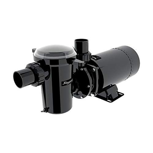 Raypak Protege 1 HP 2-Speed Above Ground Pool Pump - Energy Efficient Swimming Pool Water Circulation System for Inground & Aboveground Pools | Perfect for Backyard, Residential & Commercial Use