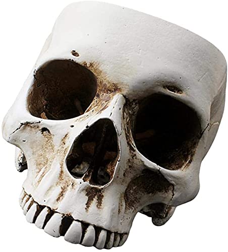 Skull Flower Pot - Resin Skull Shaped Planter for Succulents & Small Plants | Gothic Home & Office Desk Decor | Unique Gift for Halloween & Gothic Lovers
