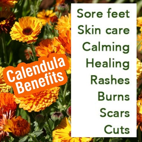 **100% Pure Calendula Essential Oil with Dropper – 100ml Undiluted & Natural for Skin Care, Aromatherapy & DIY Beauty Products**