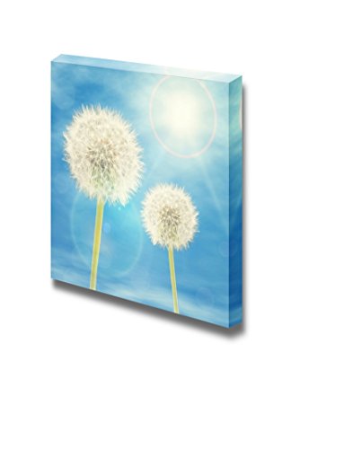 Dandelions
