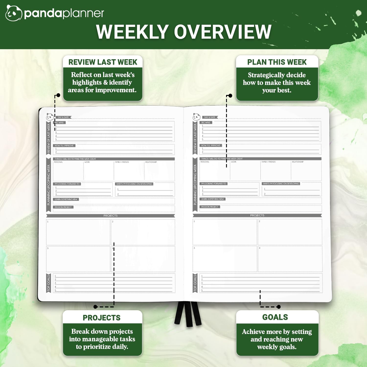 Panda Planner Pro 2025 Undated Daily Planner with Hourly Schedule - 8.5