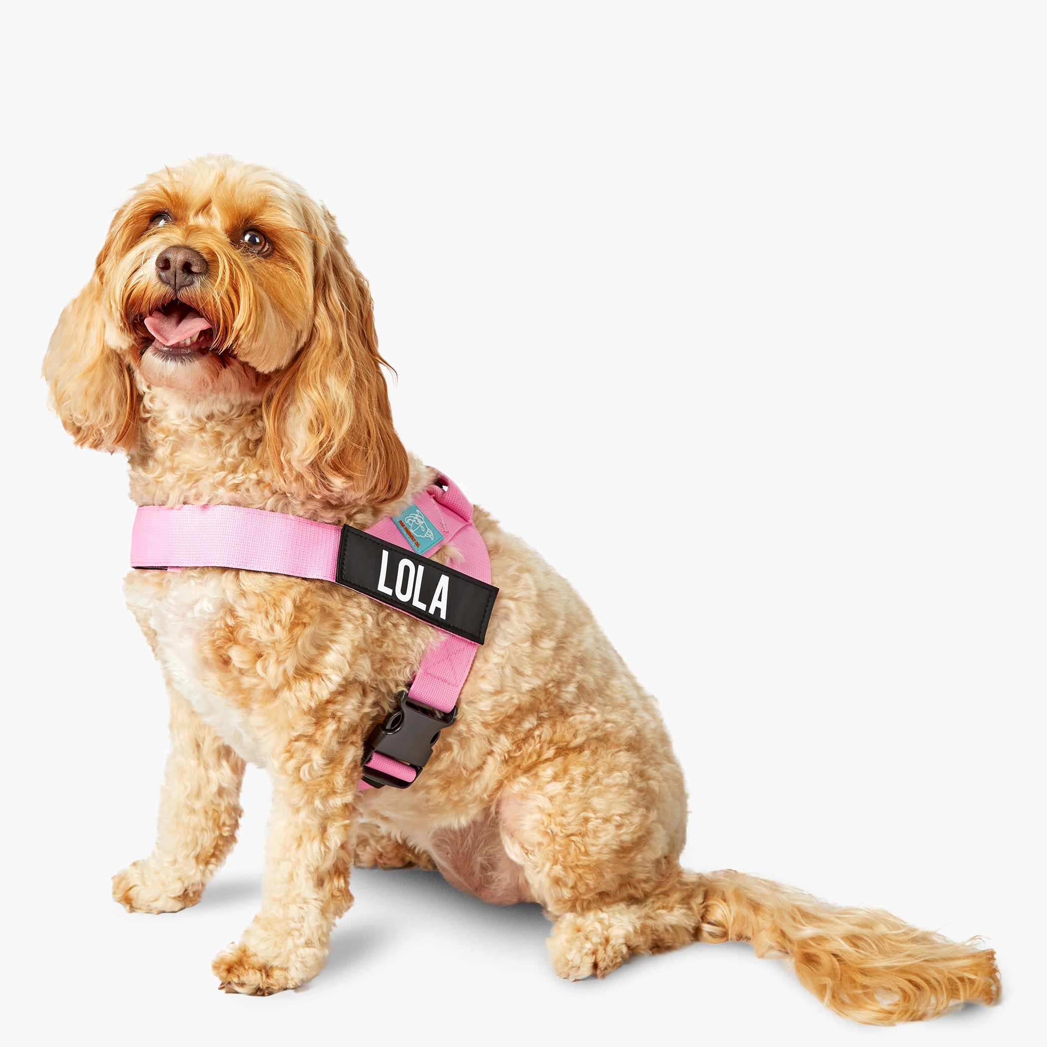 Premium Pink Dog Harness - Adjustable & Breathable for Small to Large Dogs - Perfect for Walking, Running & Outdoor Adventures