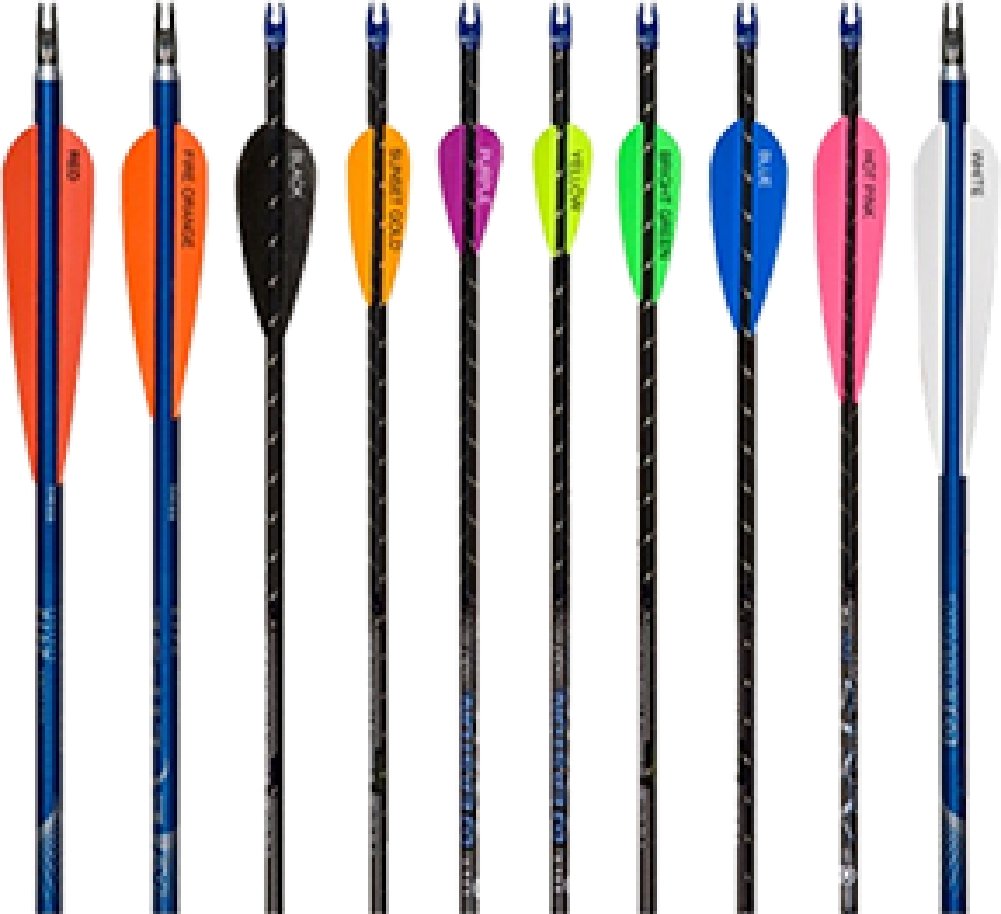 AAE AA & E Elite Plastifletch Vanes - Red 3.875 Inch 100 Pack - High Performance Archery Vanes for Hunting & Target Shooting