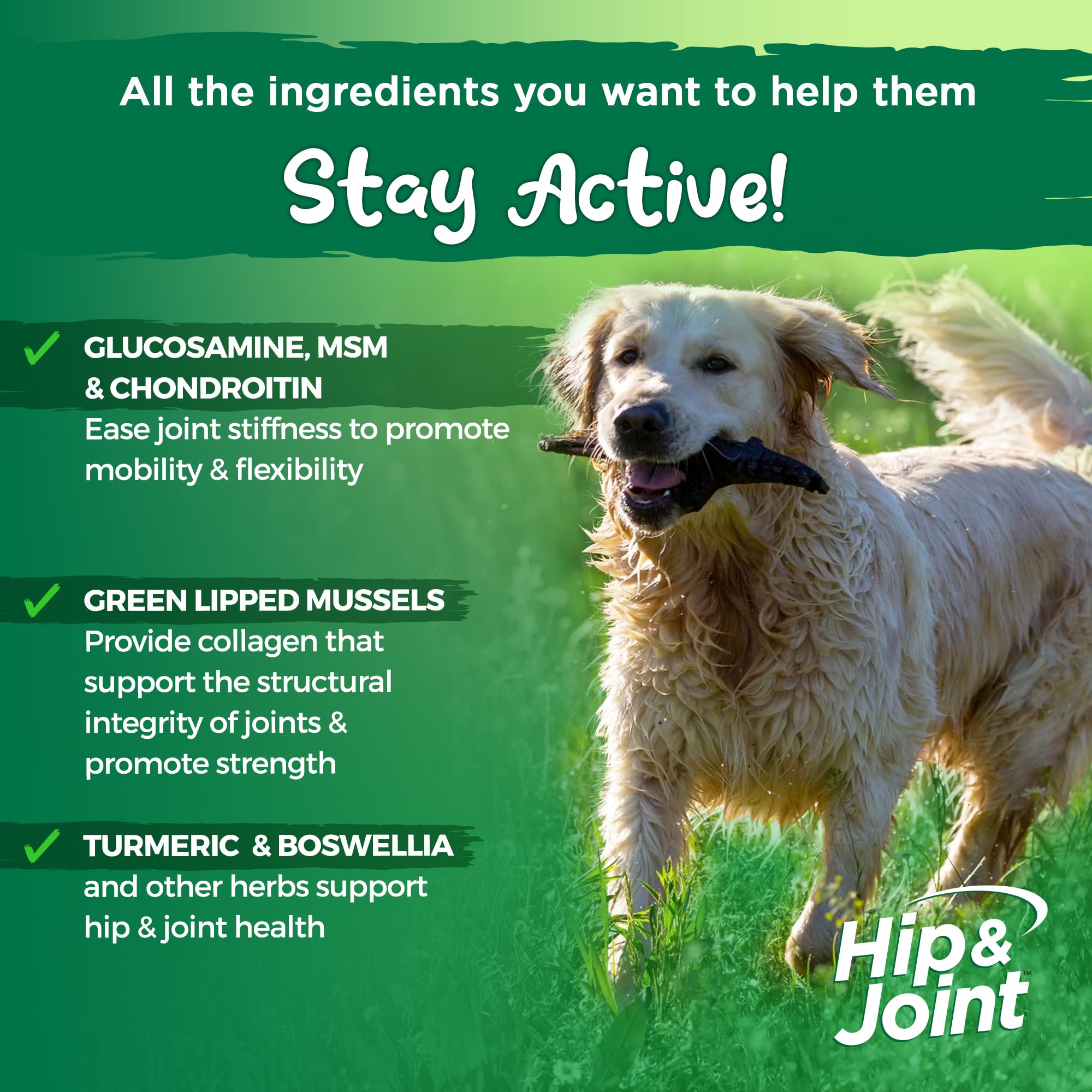 Vital Planet Hip & Joint Soft Chews for Dogs - Glucosamine, MSM & Collagen Supplement with Green-Lipped Mussel - Bacon Flavored Dog Treats (30 Count) - Supports Mobility & Joint Health for Active & Senior Dogs