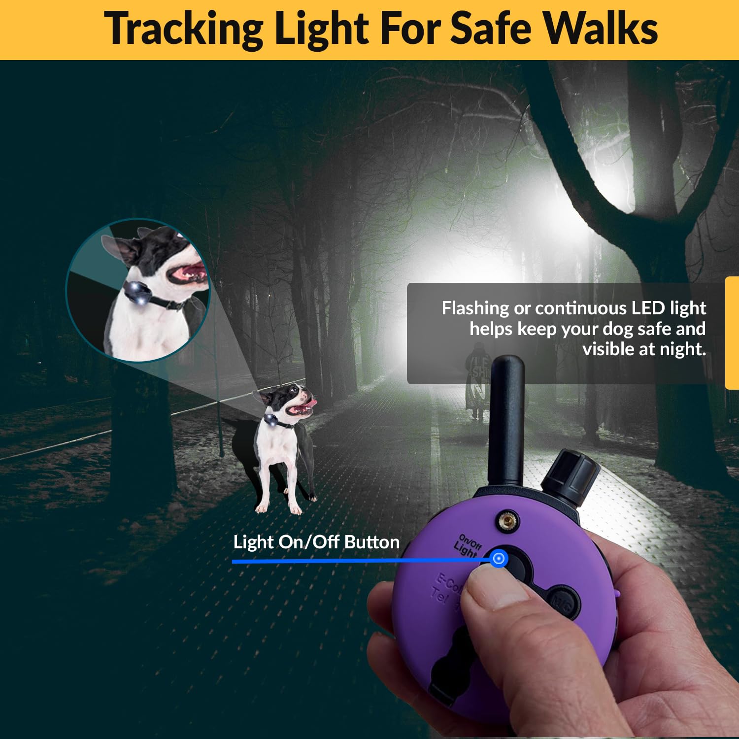 Humane Dog Training Collar with Remote - Educator E-Collar for Small Dogs | 100 Safe Stimulation Levels, Waterproof, Rechargeable, Night Light | 1/3 Mile Range | Perfect for Obedience Training, Behavior Correction & Night Walks (Purple)