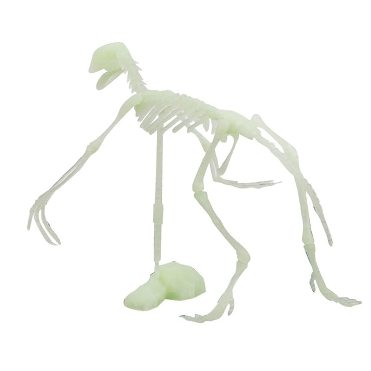 Bulk Halloween Toys - Glow in The Dark Dinosaur Bones & Human Skeleton Model for Kids | Spooky Toddler Halloween Party Favors & Tree Decorations | Perfect for Trick-or-Treating, Classroom Activities & Haunted House Decor