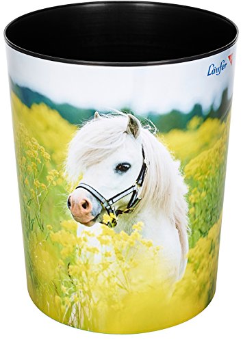 Horse in the field