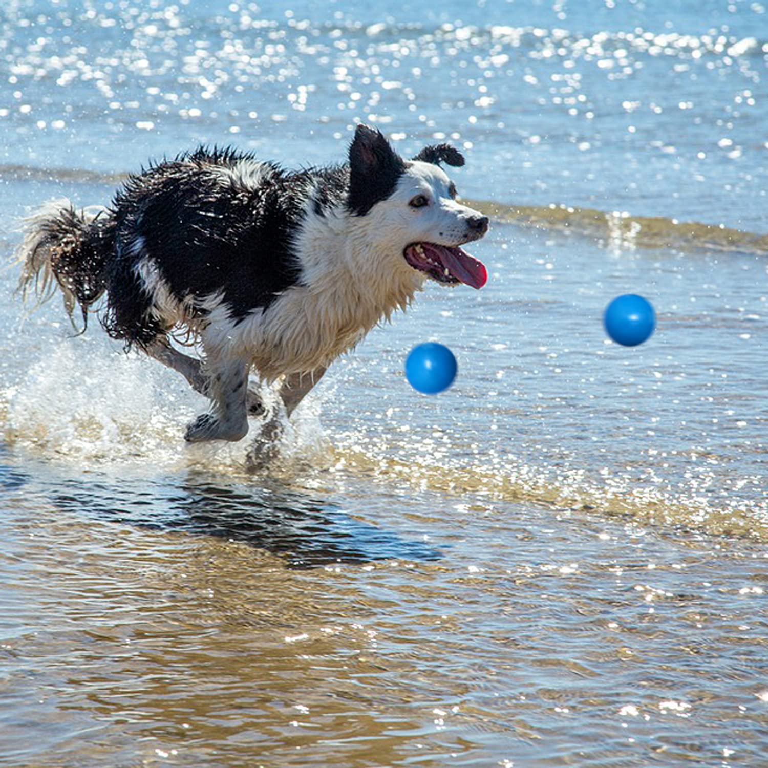 Indestructible Dog Balls for Aggressive Chewers - 100% Safe Non-Toxic Solid Rubber Chew Toys - Floating Durable Bouncy Ball for Medium & Large Breed Dogs - Perfect for Training, Playtime, Fetch & Outdoor Exercise