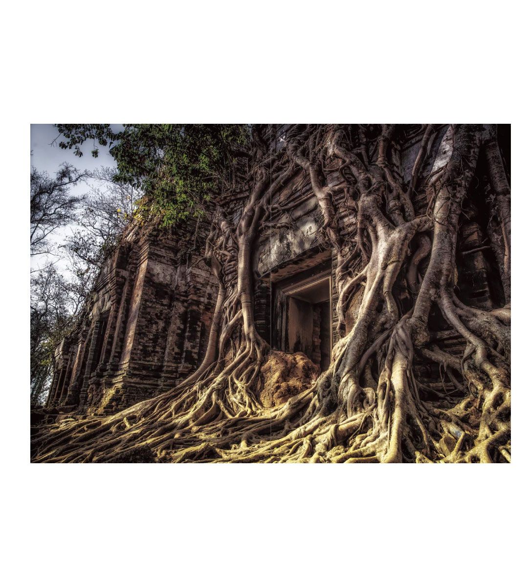 Gateway to Another World - Stunning Artwork by Shimizu Daisuke | Perfect for Home Decor, Office Inspiration & Anime Fan Gifts