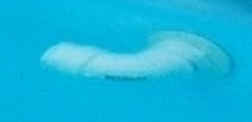 Lazy River Action Return Fitting for Above Ground Swimming Pool - 3/4