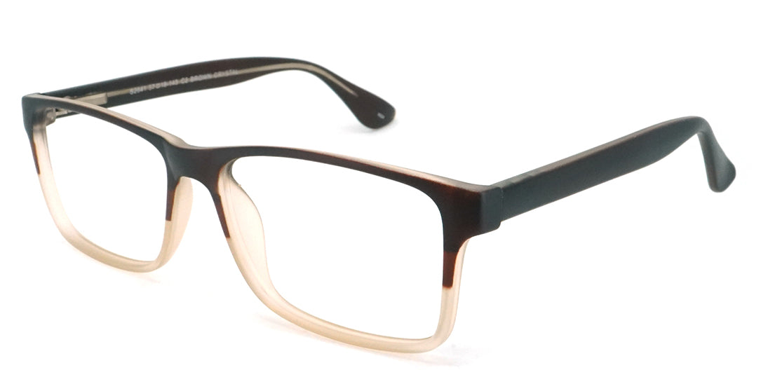 S2841 Plastic Reading Glasses - Lightweight & Durable Eyewear for Books, Computers, and Close Work