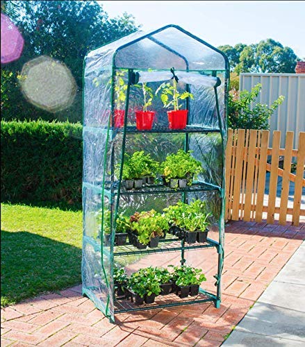 4-Tier Walk-In Greenhouse for Plants & Seedlings - Durable Outdoor Garden Greenhouse with Cover - Perfect for Backyard, Patio, and Indoor Gardening