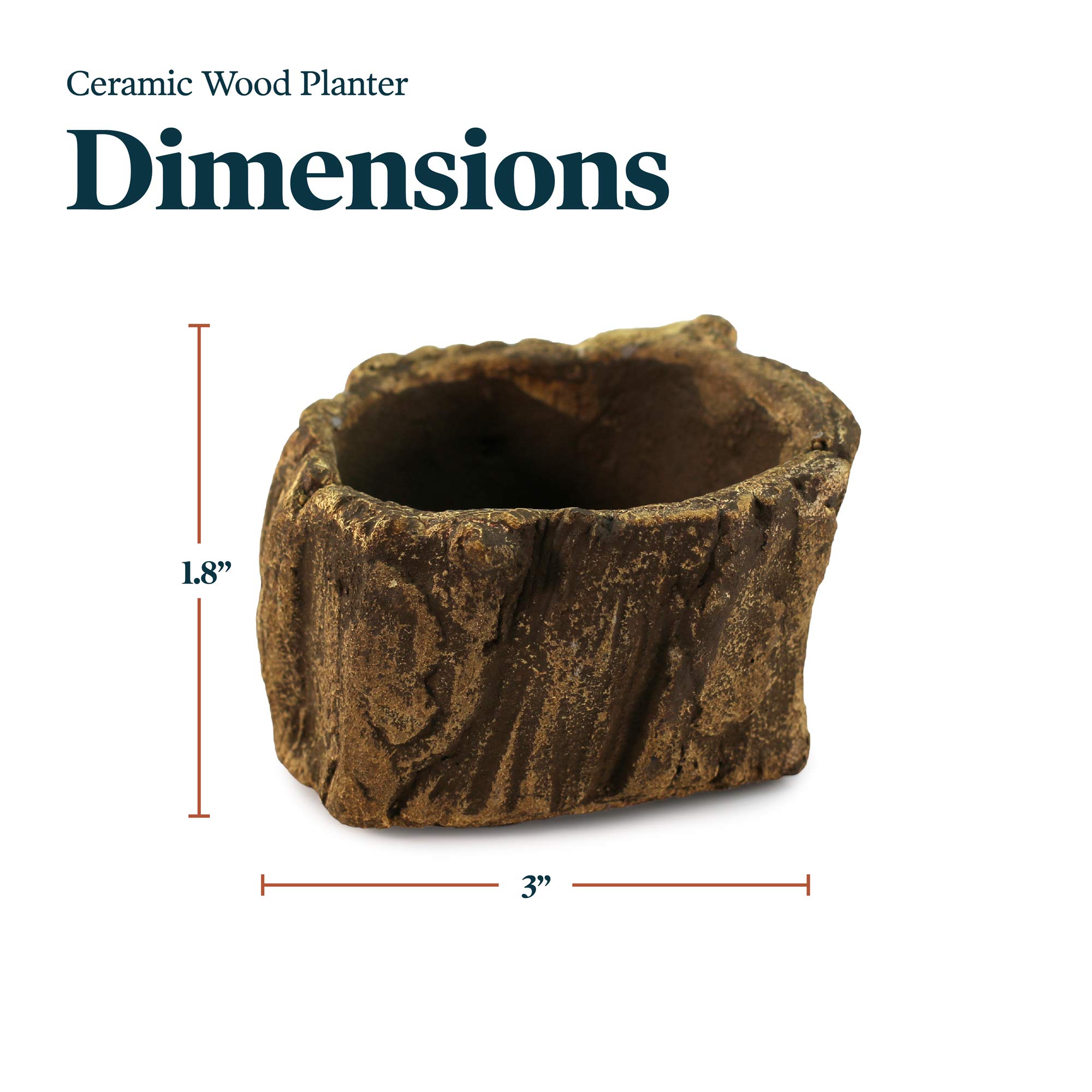 Ceramic Wood Plant Pot - Indoor Wood Planter with Natural Log Design for Succulents, Flowers & Small Plants | Perfect for Home Decor, Office Desk & Gift Giving (Driftwood Stump Style)