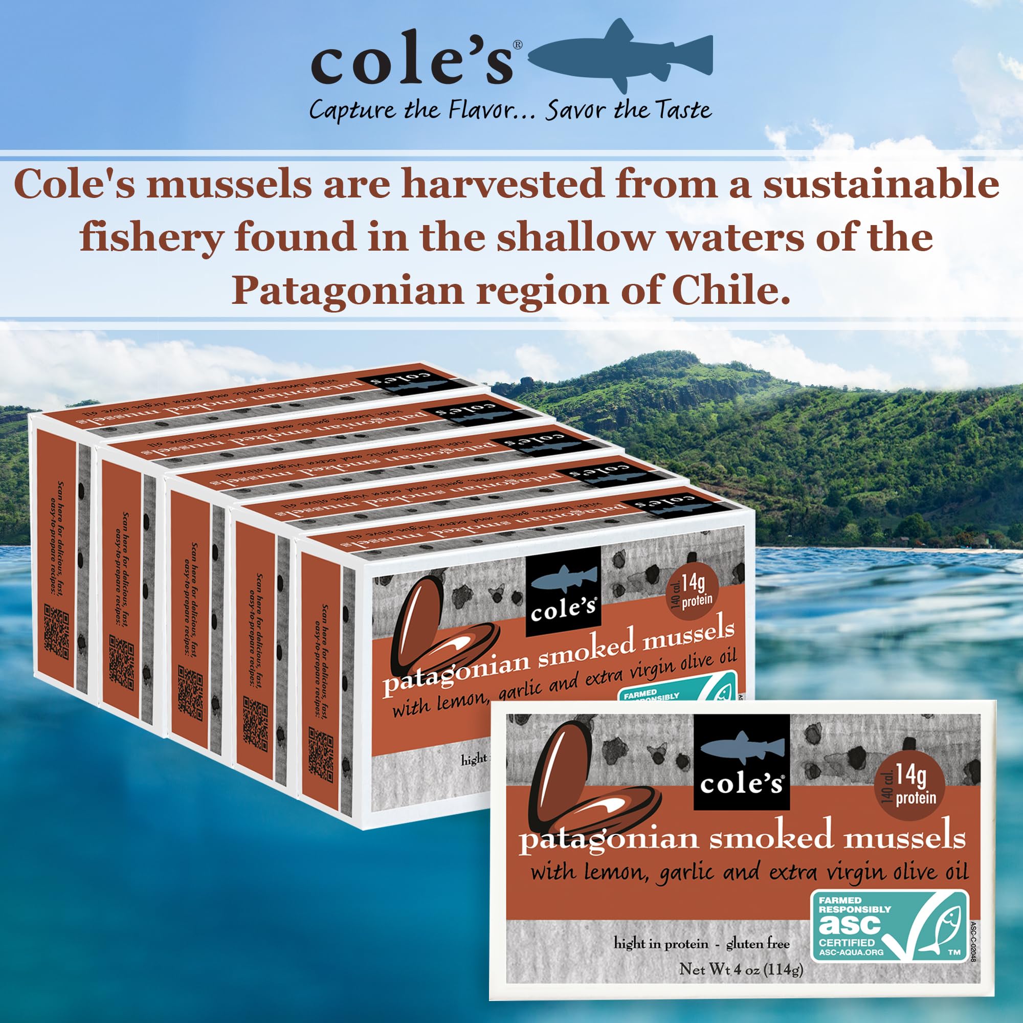 Cole's Patagonian Smoked Mussels in Lemon & Garlic Olive Oil | 4oz Canned Seafood | High Protein (14g per Can) | Pack of 5 | Perfect for Salads, Pasta & Charcuterie Boards
