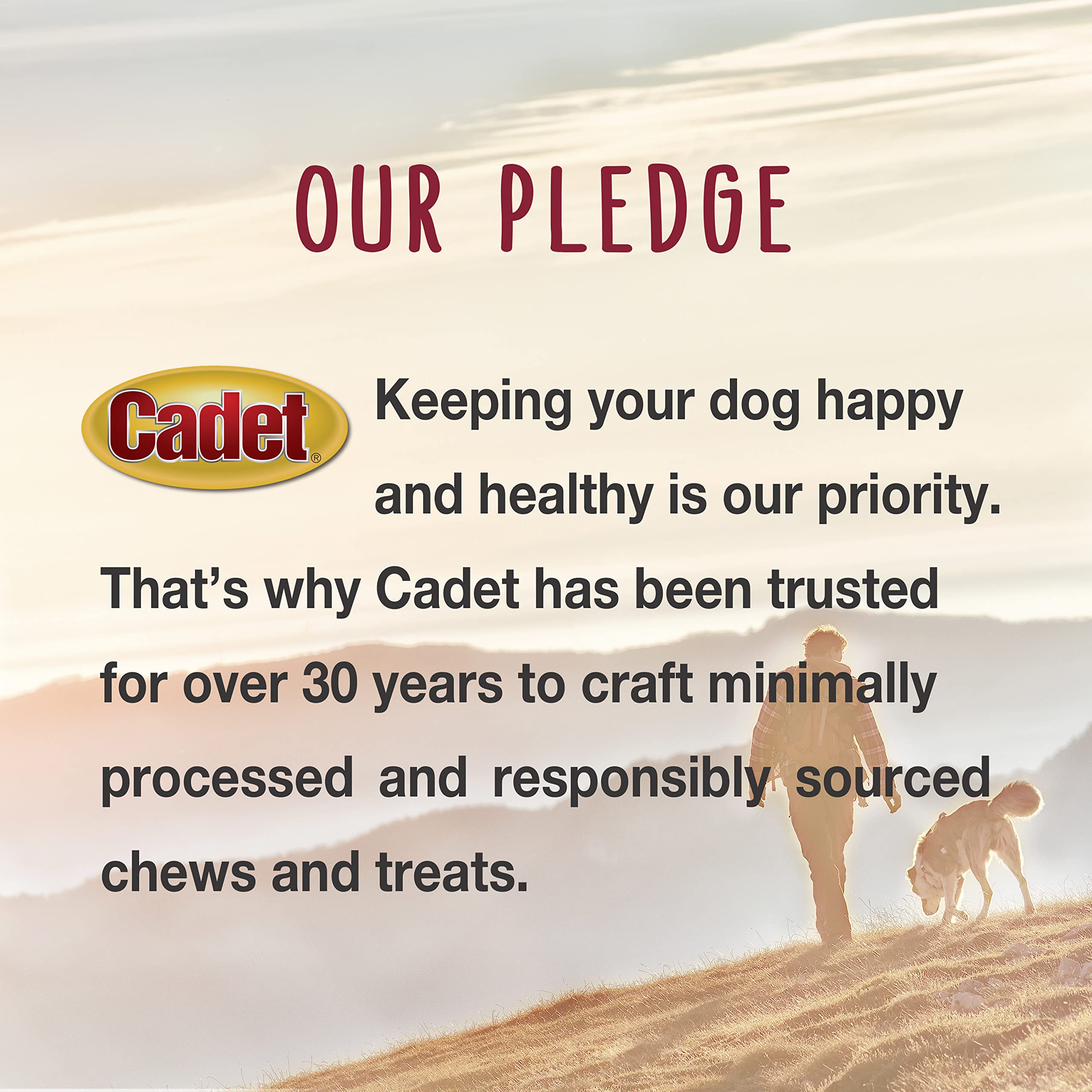 Premium Gourmet Savory Duck Rolls Dog Treats - All-Natural, Healthy Duck Chews for Small & Large Breeds - USA Inspected & Tested Rawhide-Free Alternative (7 Inch, 2 Count) - Perfect for Training Rewards, Dental Health & Long-Lasting Chewing Fun