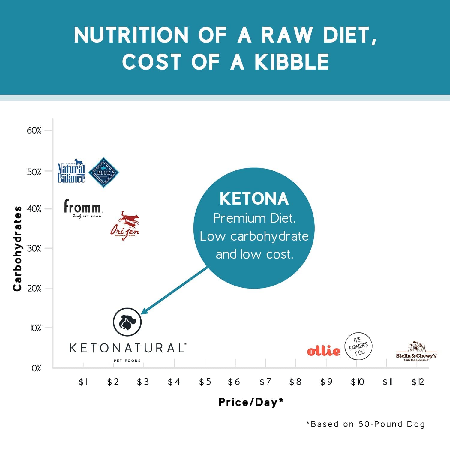Ketona Salmon Recipe Adult Dry Dog Food - Natural, Low Carb (5%), High Protein (46%), Grain-Free - Raw Diet Nutrition with Kibble Convenience - 24.2 lb Bag for Active Dogs & Weight Management