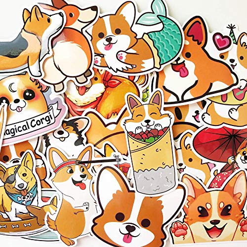 Corgi