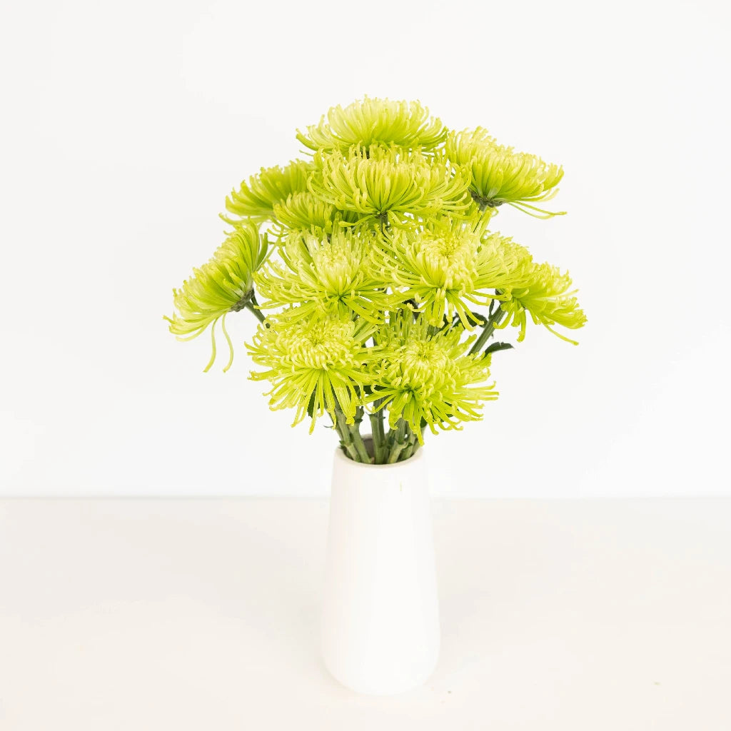 Anastasia Green Spider Mum Flowers - Premium Artificial Floral Decor for Home, Wedding, and Event Centerpieces