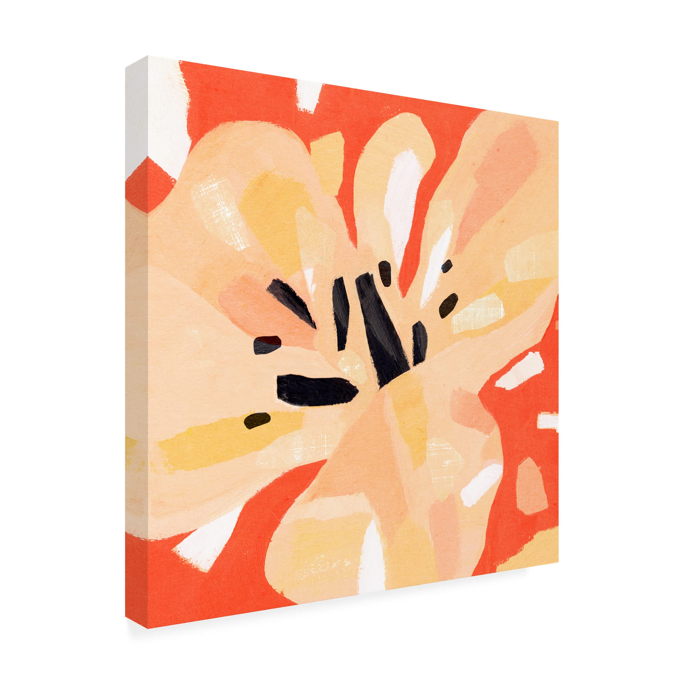 Annie Warren 'Boomin Bloom I' Canvas Wall Art - Modern Floral Painting for Living Room, Bedroom & Office Decor - Handmade Stretched Gallery Wrap Canvas Print