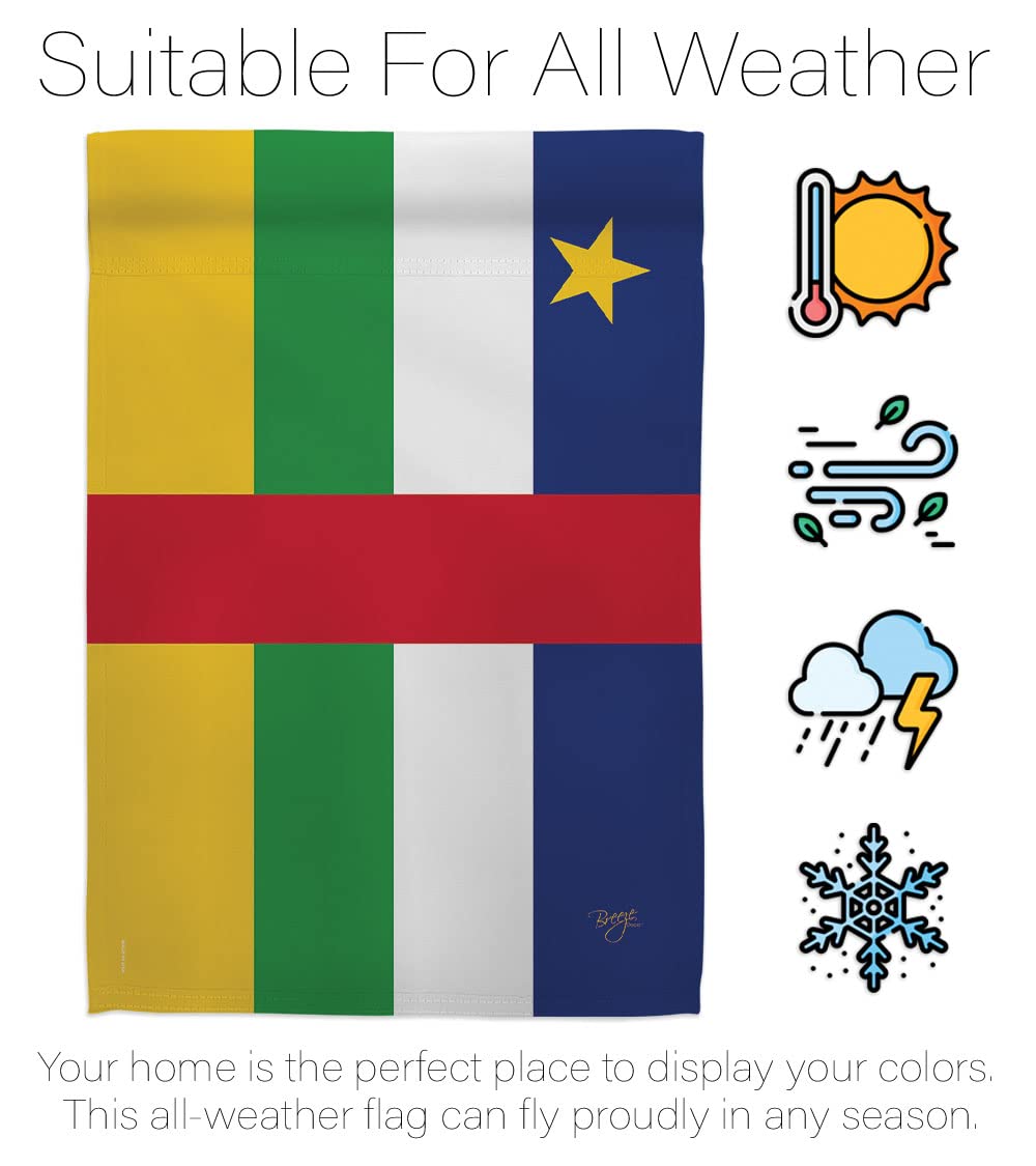African Republic House Flag Set 28x40