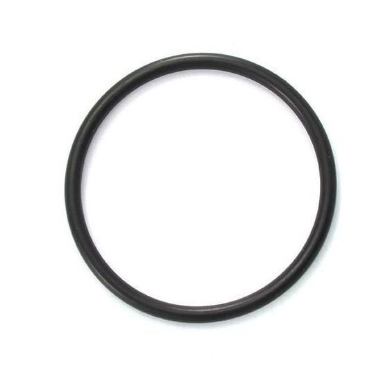 Polaris ORING WMS Upper to Feedpipe WR0544000 W7430210 Replacement Part - Compatible with ATV, UTV, and Off-Road Vehicles