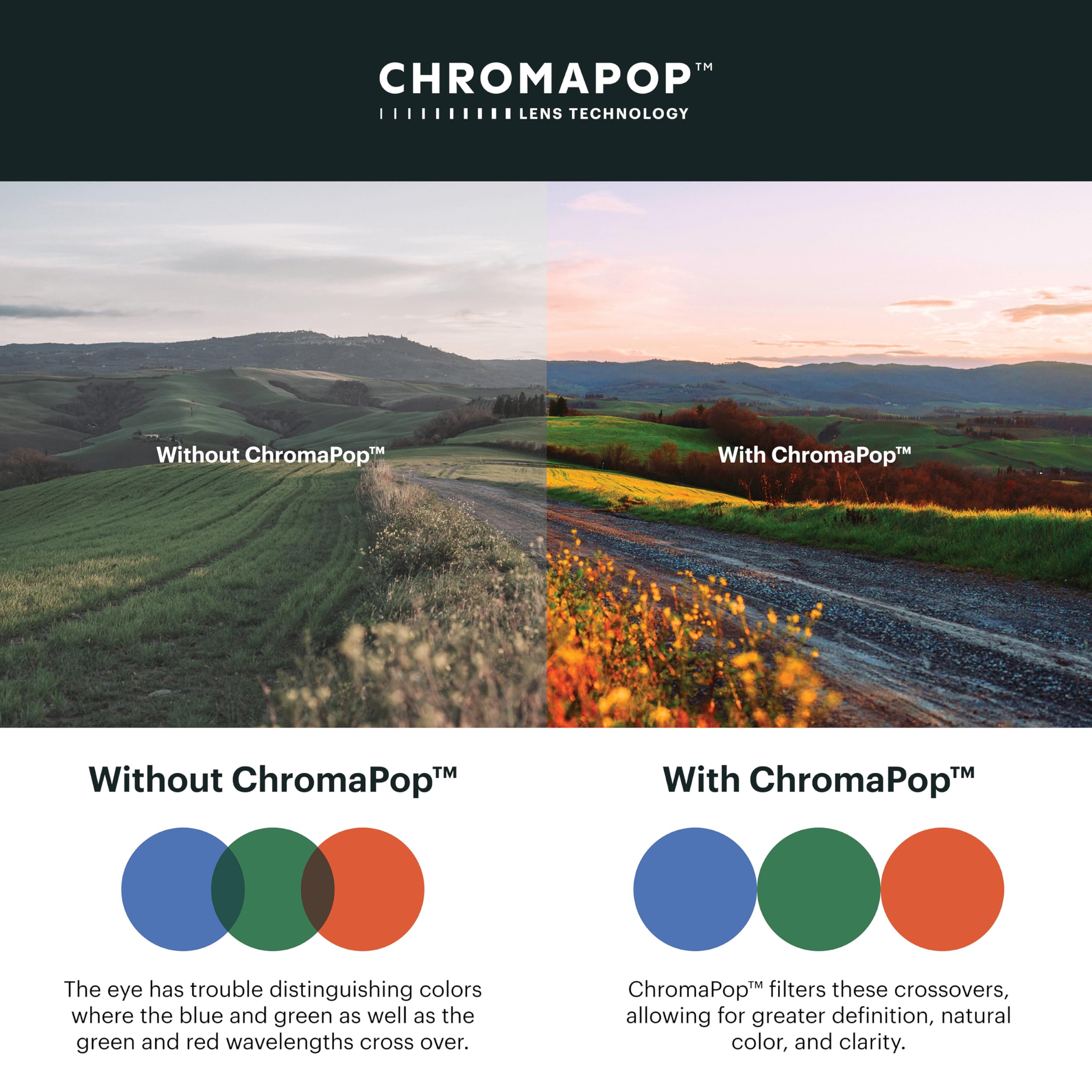 Smith Guide's Choice XL Sunglasses with ChromaPop Polarized Lenses - UV Protection for Men & Women - Perfect for Driving, Fishing & Outdoor Activities
