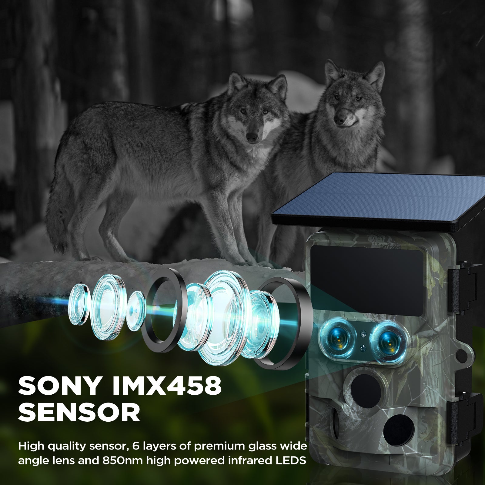 Campark TC22 4K WiFi Dual Lens Solar Trail Camera with Starlight Night Vision - Waterproof Hunting Game Camera for Wildlife Monitoring, Outdoor Security & Nighttime Scouting