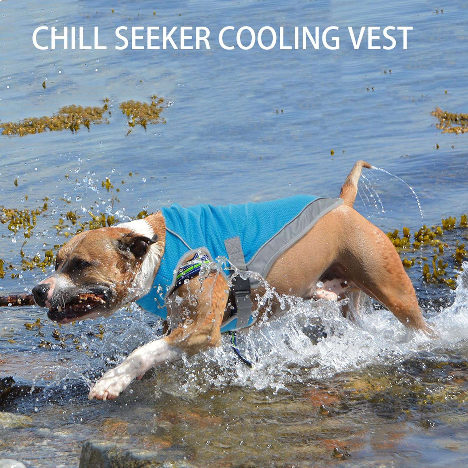 Dog Cooling Vest - Adjustable Reflective Pet Jacket for Anxiety Relief, Sun Protection & Breathability | Perfect for Summer Walks, Hiking & Outdoor Adventures
