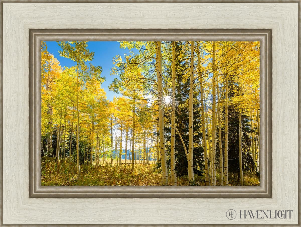 Autumn in the Rocky Mountains - Stunning Fall Foliage at Wasatch National Forest Utah | Perfect for Hiking, Photography & Nature Exploration