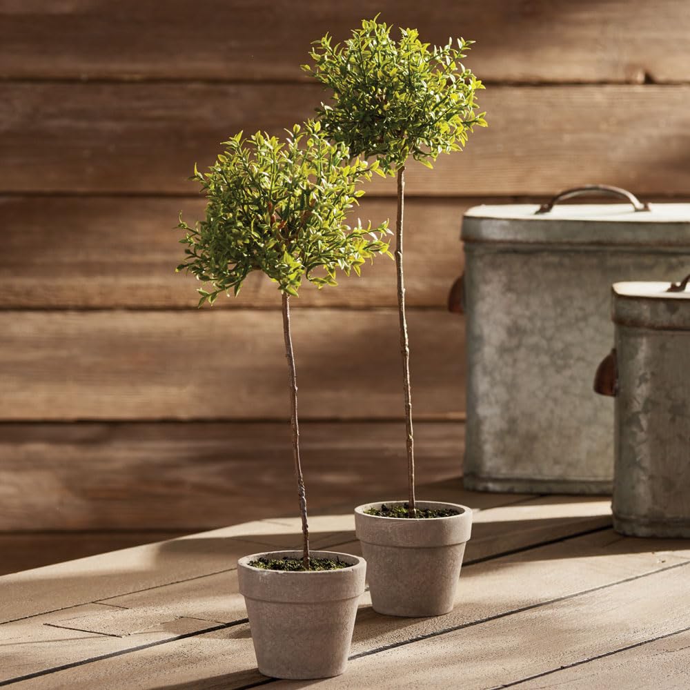 NAPA Home & Garden 13