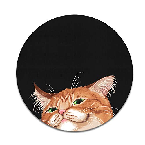 Smirking Orange Tabby Cat
