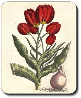 Beautiful Tulip Art Plates Mouse Pad - Non-Slip Desk Mat for Computers & Laptops - Perfect for Office, Gaming & Home Workspace Decor