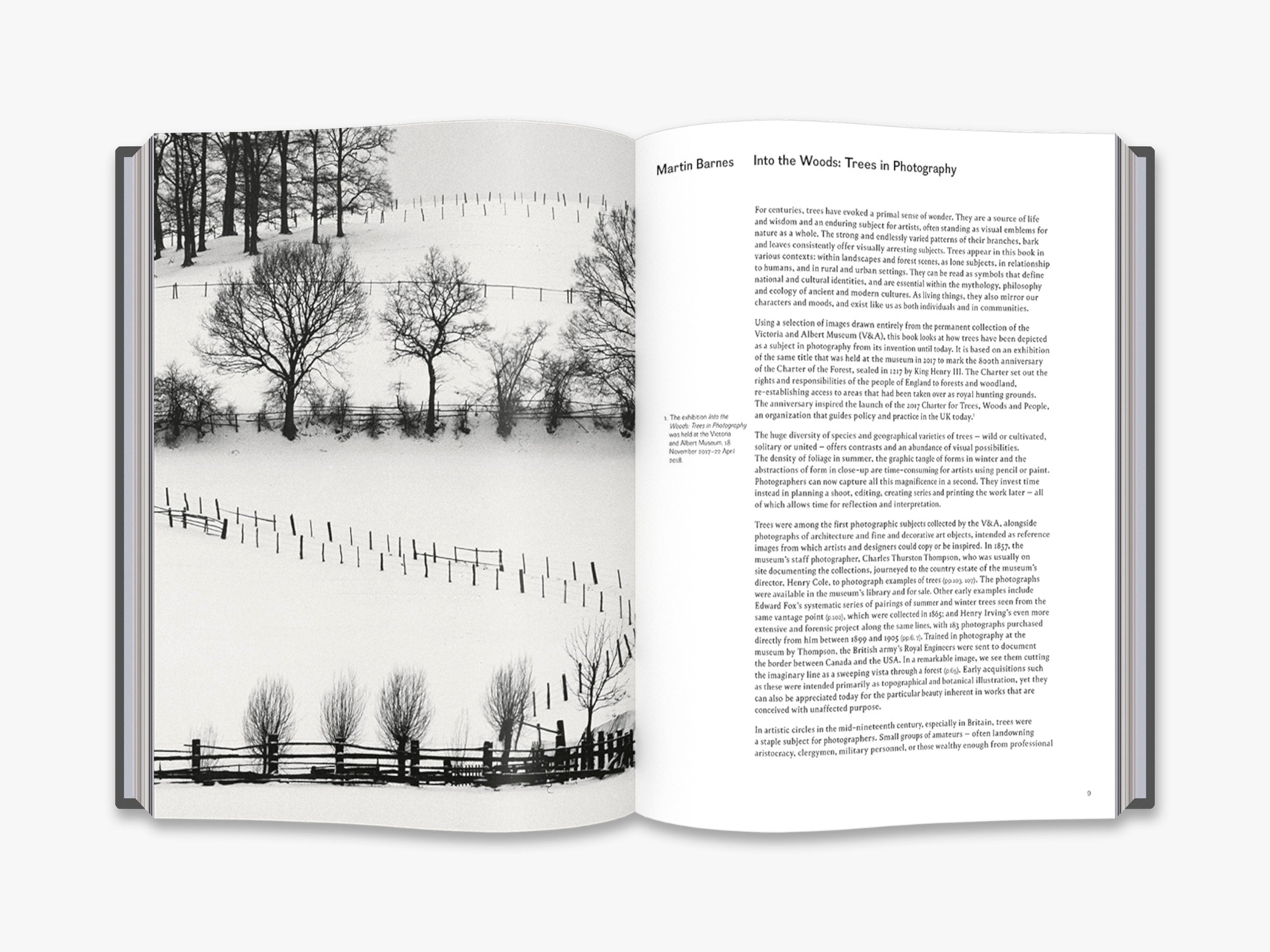 Into the Woods: Stunning Tree Photography Book - Nature Landscape Photo Collection for Home Decor & Art Lovers | Perfect for Living Room, Office & Gift Giving