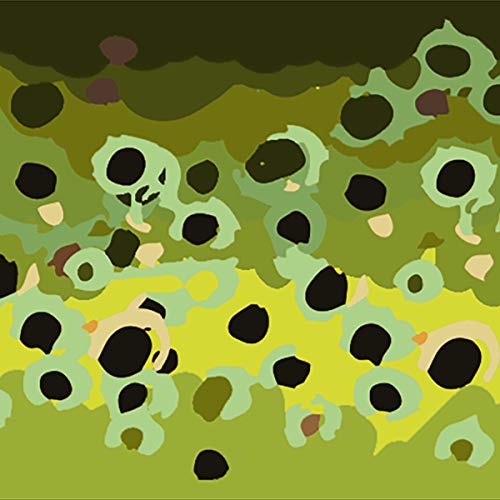 Brown Trout Texture