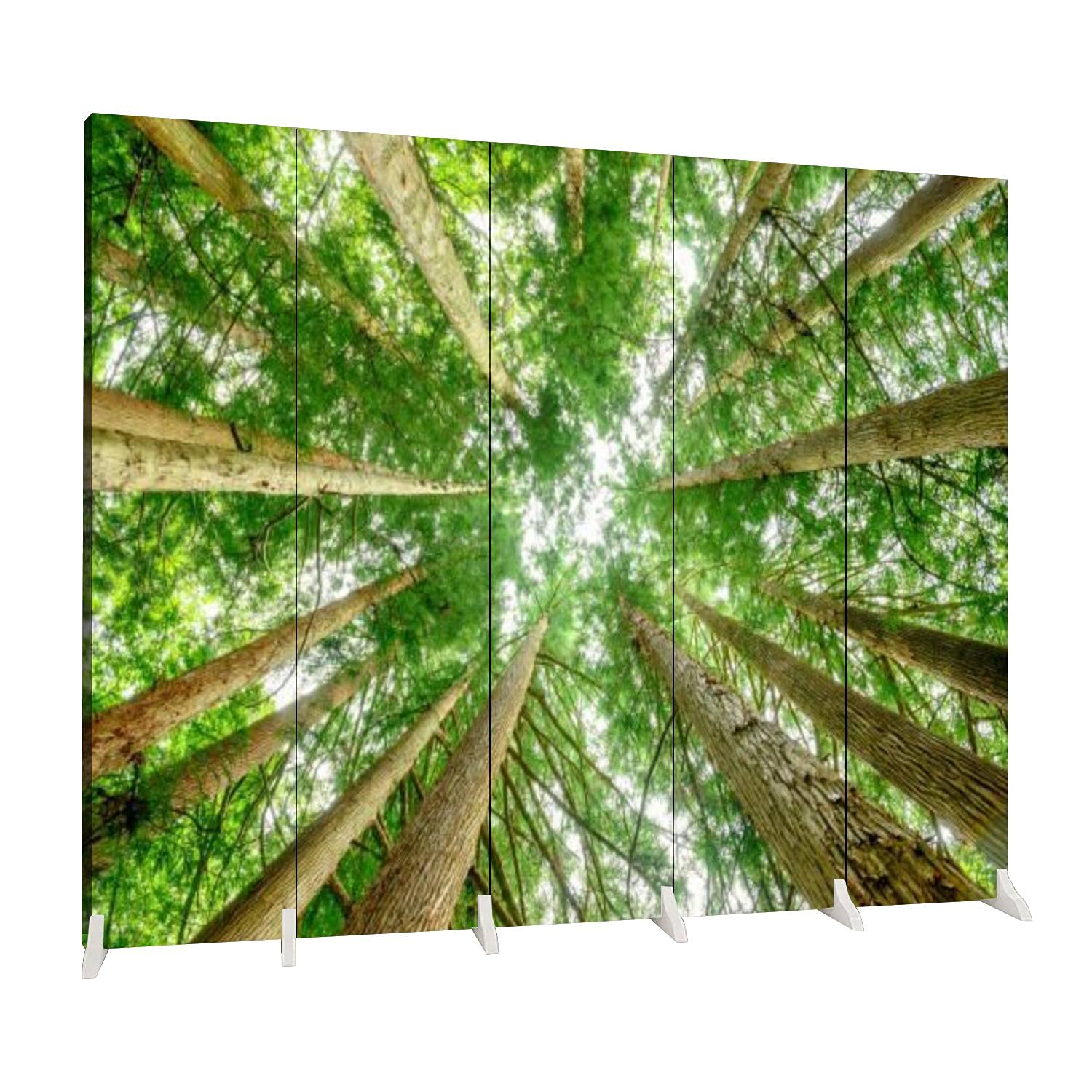 Dola-Dola Wooden Room Divider with Cedar Tree Design - 5 Panel Folding Privacy Screen, Waterproof Canvas Panels for Indoor Use, Portable Dual-Sided Display Shelves | Perfect for Home Office, Bedroom Partition, and Living Room Decor