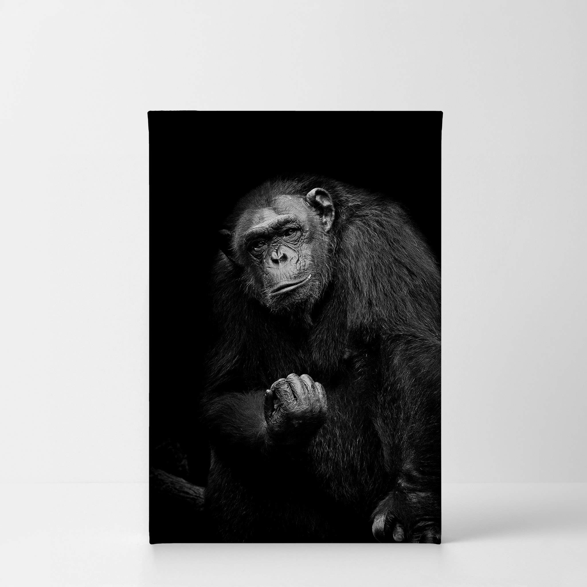 Black and White Gorilla Portrait Canvas Print - African Wildlife Wall Art for Bedroom, Nursery & Home Decor - 40x30 Inches - Perfect for Jungle Theme Rooms & Safari Decorations