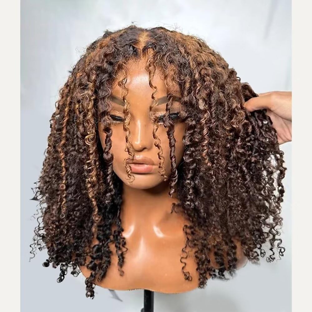 13x6 HD Lace Front Wig - Ombre Kinky Curly Human Hair Wig with Baby Hair | Short Bob Style for Black Women | Perfect for Daily Wear, Parties & Special Occasions